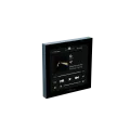 Rithum plugin standard BluOS Lite