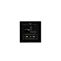 Rithum plugin standard BluOS Lite