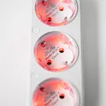 Shelly Powerstrip 4, 4zásuvka s měřením spotřeby, WiFi, bílá