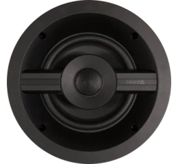 6½" stropný reproduktor - Distributed Audio Series 1