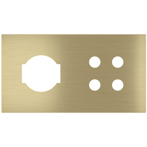 Magnetic plate 2-fold for 4-rocker push button + IT UNEL power socket Proxima series Metal Brass